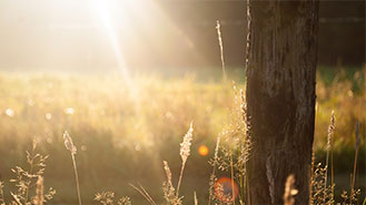 手机号轰在线轰炸