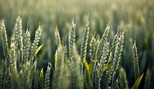 求个秒发货的在线手机号轰炸工具