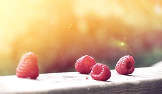 短信轰炸机网页